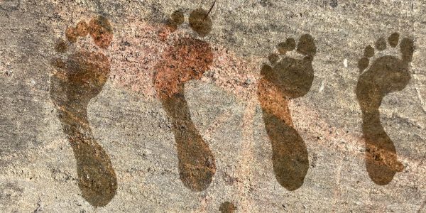 Footprints 2
