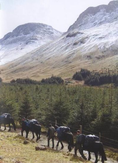 Fell ponies working for the national park