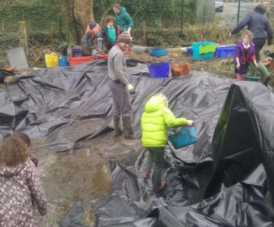 Pond restoration