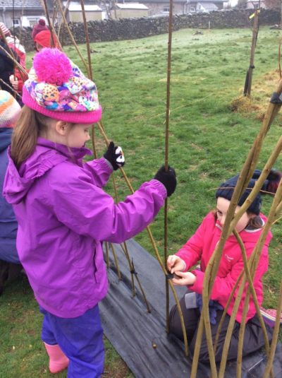 Willow Weaving