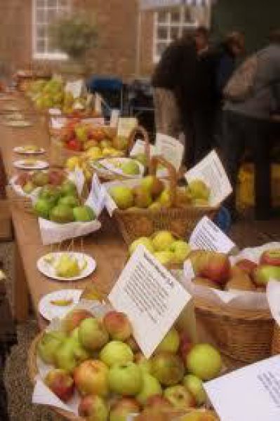 Apple day