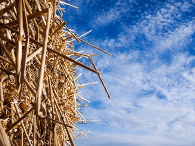 Straw and sky